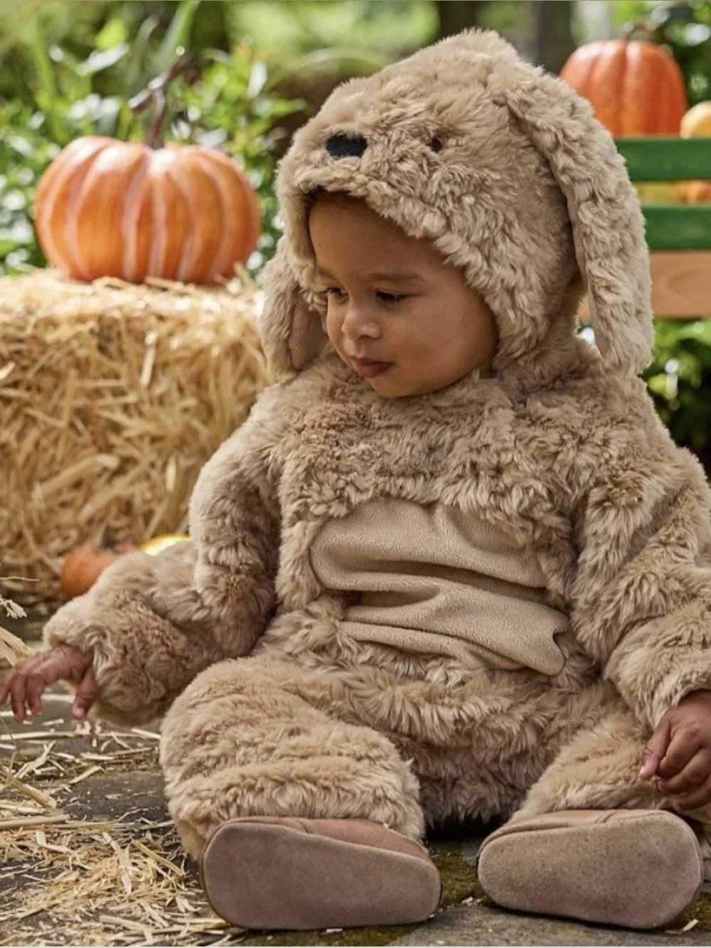 Pottery Barn Puppy Dog Costume Size 0-6 Months in EUC